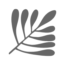 Stylized gray palm leaf silhouette (frond) as a decorative icon.